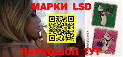 шишки Абакан
