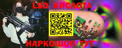 jwh Гатчина