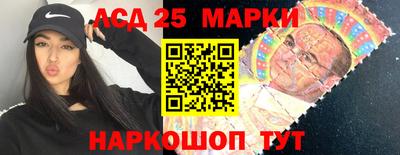 шишки Абакан