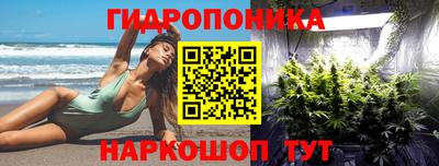 jwh Гатчина
