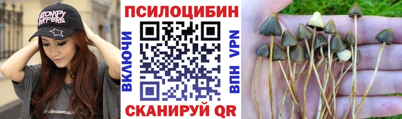 нарко площадка какой сайт  Анапа  Галлюциногенные грибы мицелий  как найти  