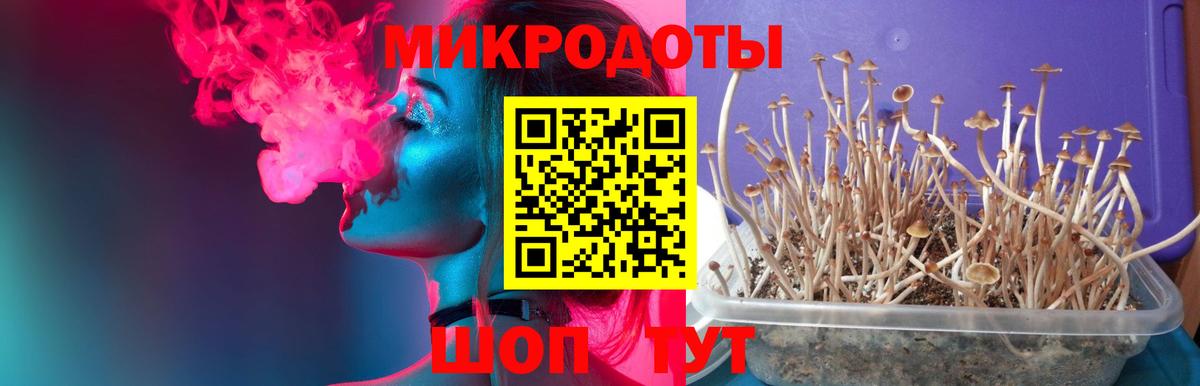 Анапа  Псилоцибиновые грибы ЛСД  Вход с VPN 